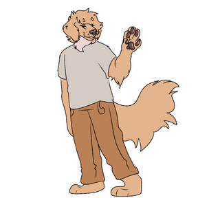 Full Body 10USD