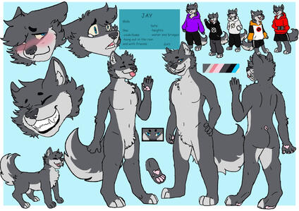 Refsheet Complex 50 USD