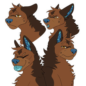 Expression Sheet 24USD